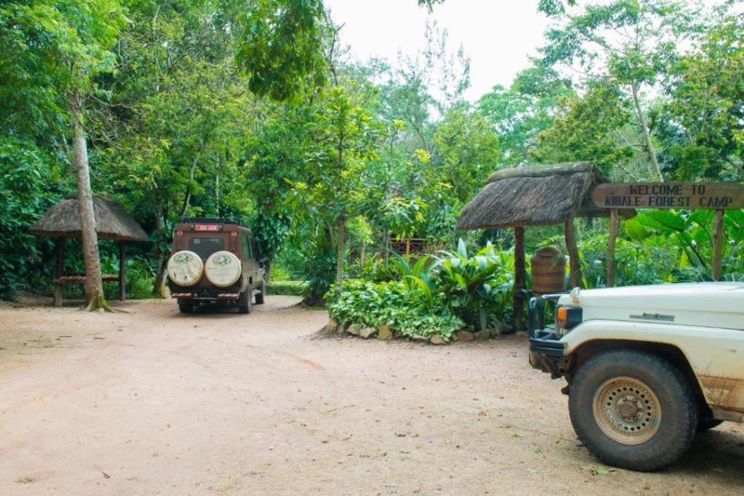 Safari Vehicle Photo Kibale Forest Camp Lodge, Kibale Forest National Park Uganda Western Region 1