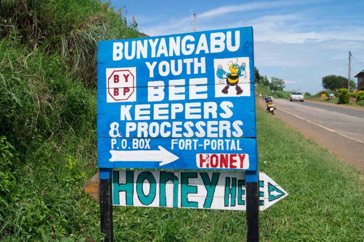 A photograph of the Bunyangabu Youth Bee Keepers and Processors' signpost taken during a village tour to Rubona located along Fort Portal–Kasese–Mpondwe Road