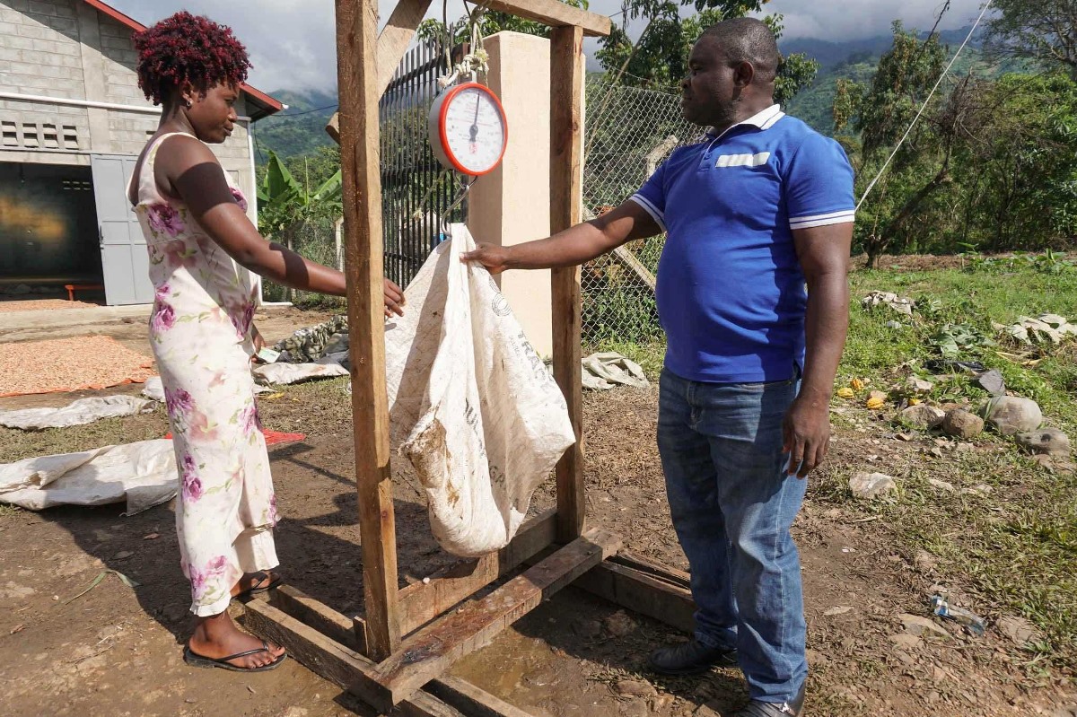 A photograph of two farmers weighing cocoa seeds taken during an agro tour in Bundibugyo in Western Uganda