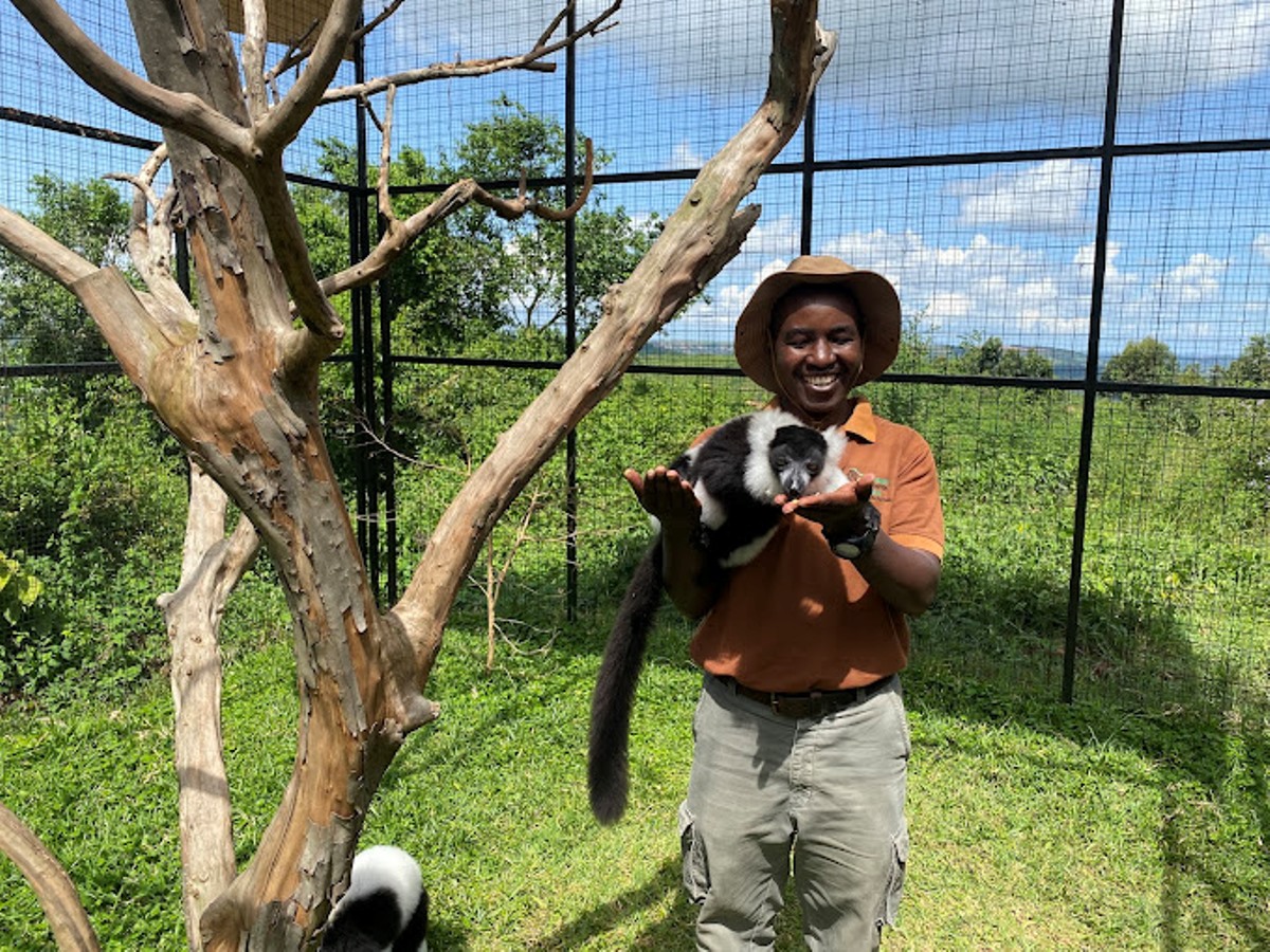 A photograph of a tourist holding a black and white colobus monkey taken during a wildlife experience to CTC Conservation Centre in Butambala, Uganda