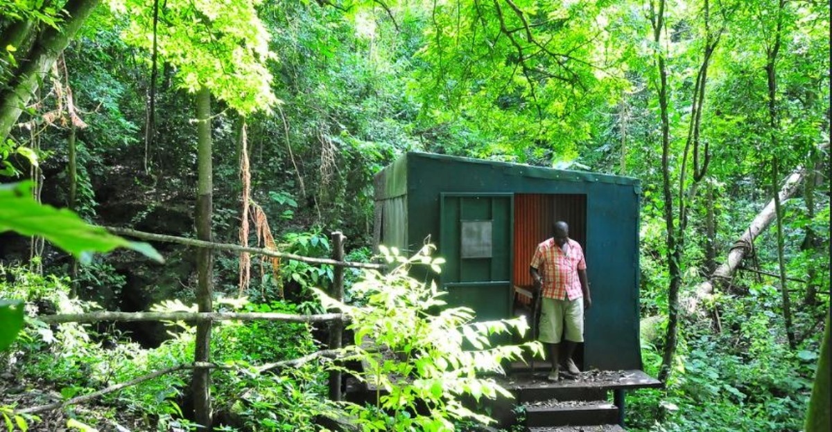 A photograph of a tourist exiting a restroom in Maramagambo forest taken during a nature walking tour in Maramagambo forest in Western Uganda