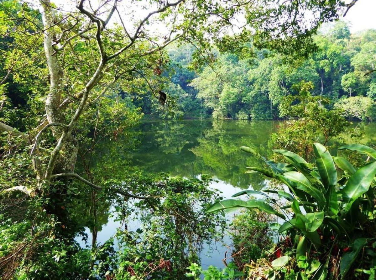 A photograph of one of Lake Nkuruba taken during a hiking tour in Ndali Kasenda Crater Area in Western Uganda.