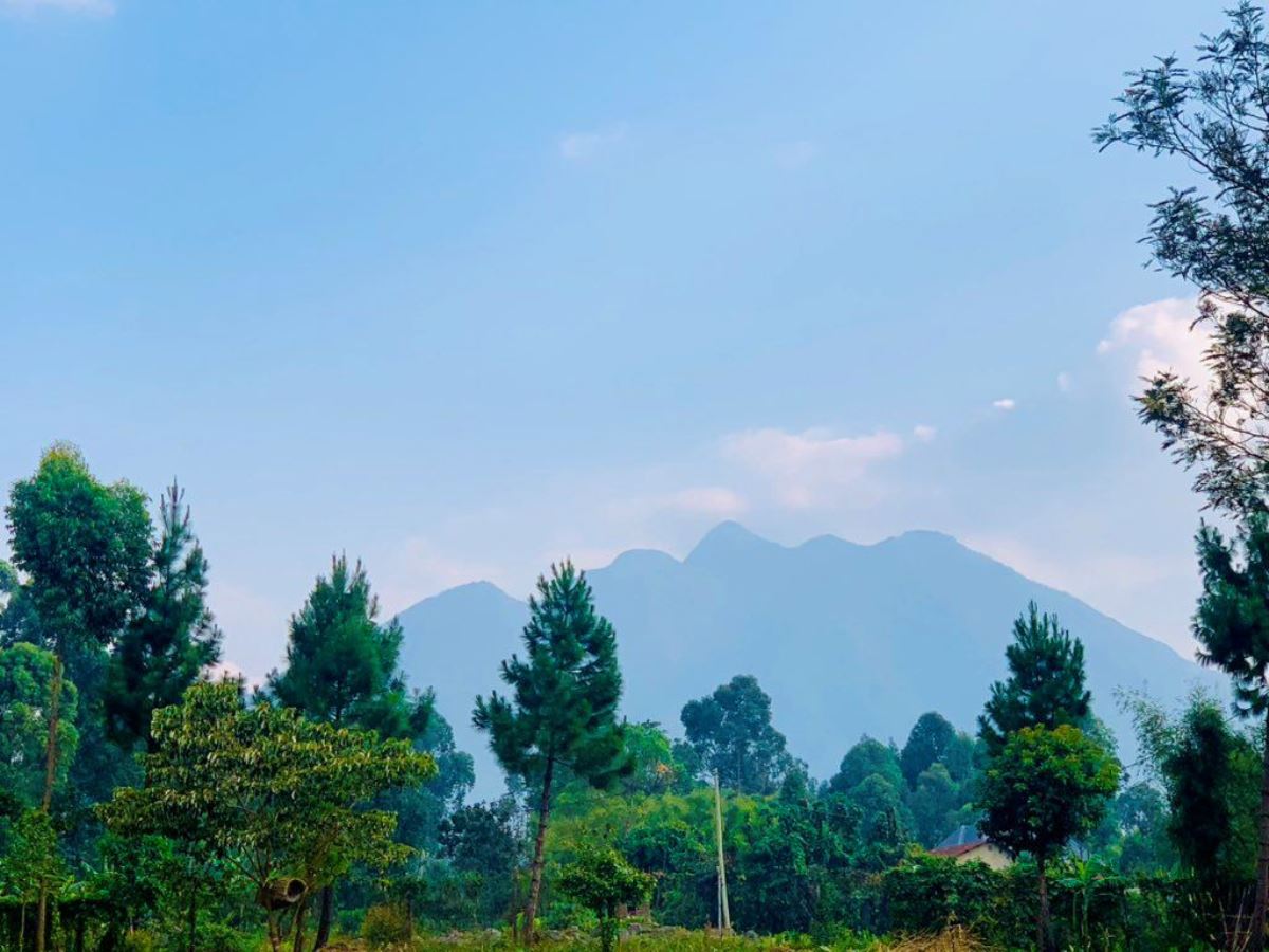 A photograph showing the view of the Volcanic Mountains - Muhavura, Gahinga and Sabinyo taken during a hiking tour in Kisoro district in Western Uganda