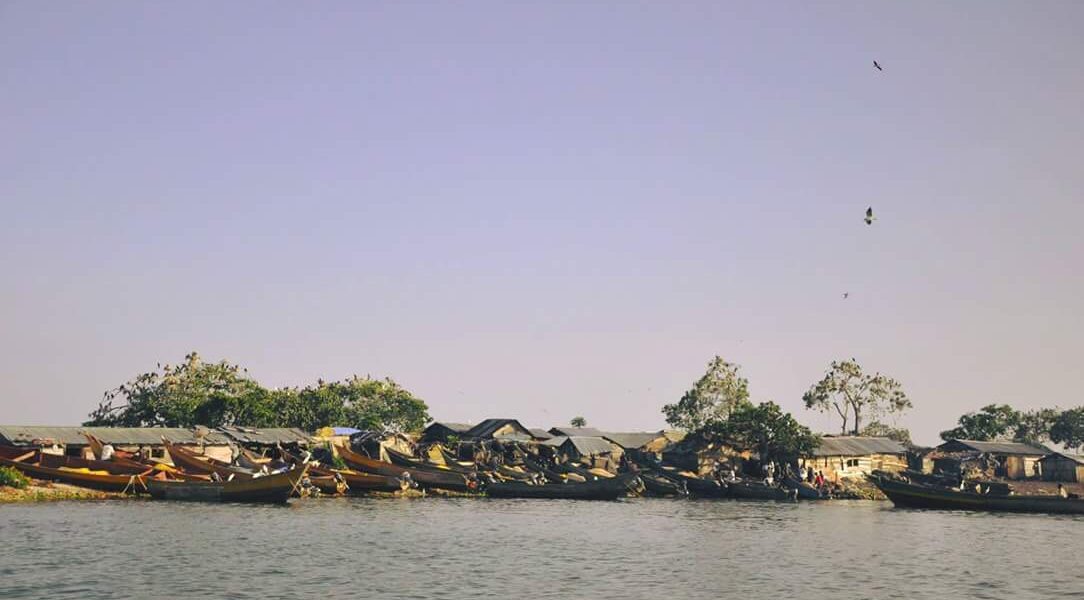 A photograph of boats on Musambwa Island taken during the Musambwa Island tour on Lake Victoria in Central Uganda.