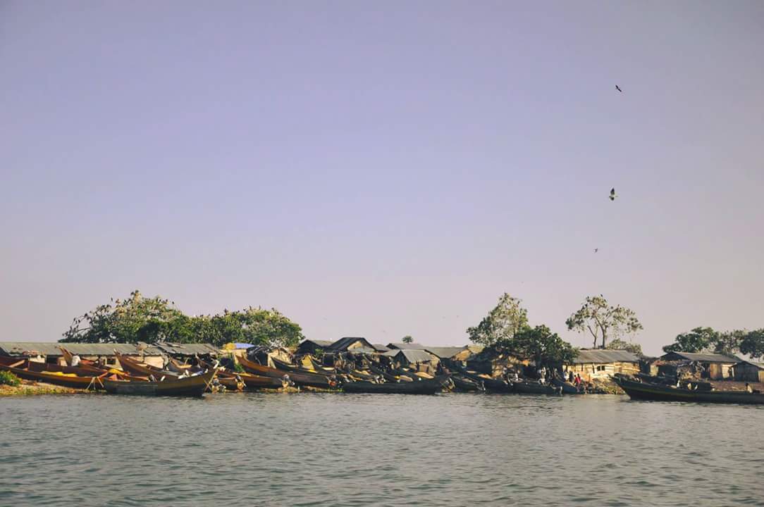 A photograph of boats on Musambwa Island taken during the Musambwa Island tour on Lake Victoria in Central Uganda.