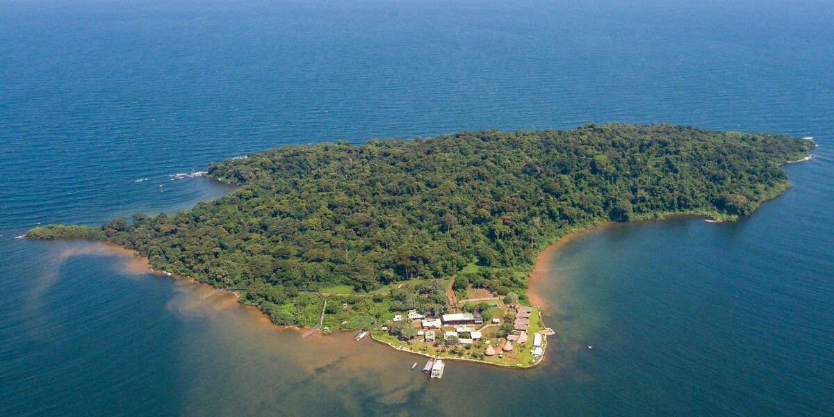 A photograph showing the aerial view of Ngamba Island on Lake Victoria in Central Uganda