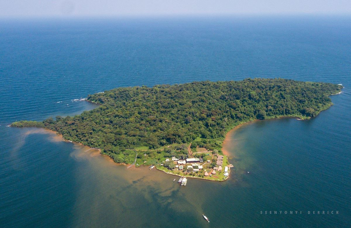 A photograph showing the aerial view of Ngamba Island on Lake Victoria in Central Uganda