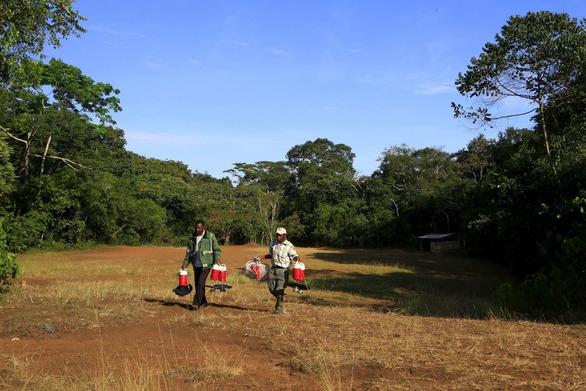 A photograph of two men taken during an educational tour in Zika Forest located near Entebbe in Central Uganda