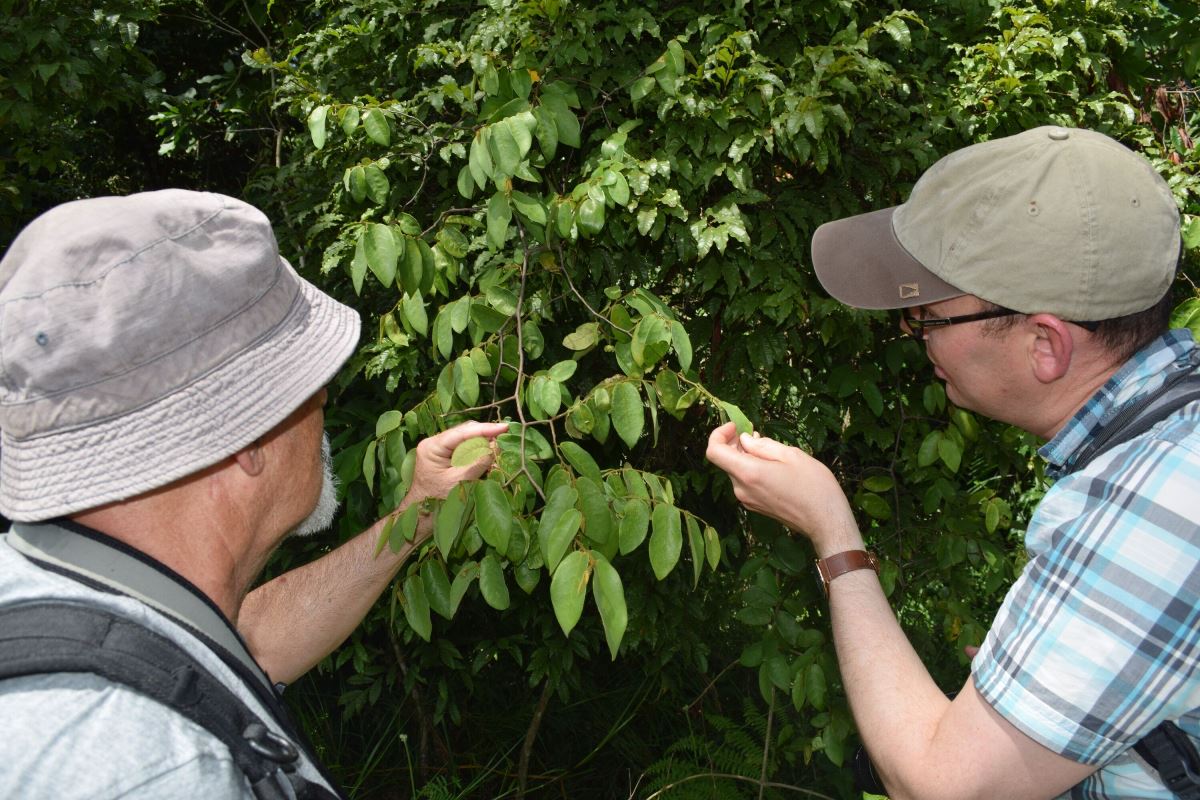 A photograph of two tourists in Zika forest taken during an educational tour in Zika Forest near Entebbe in Central Uganda