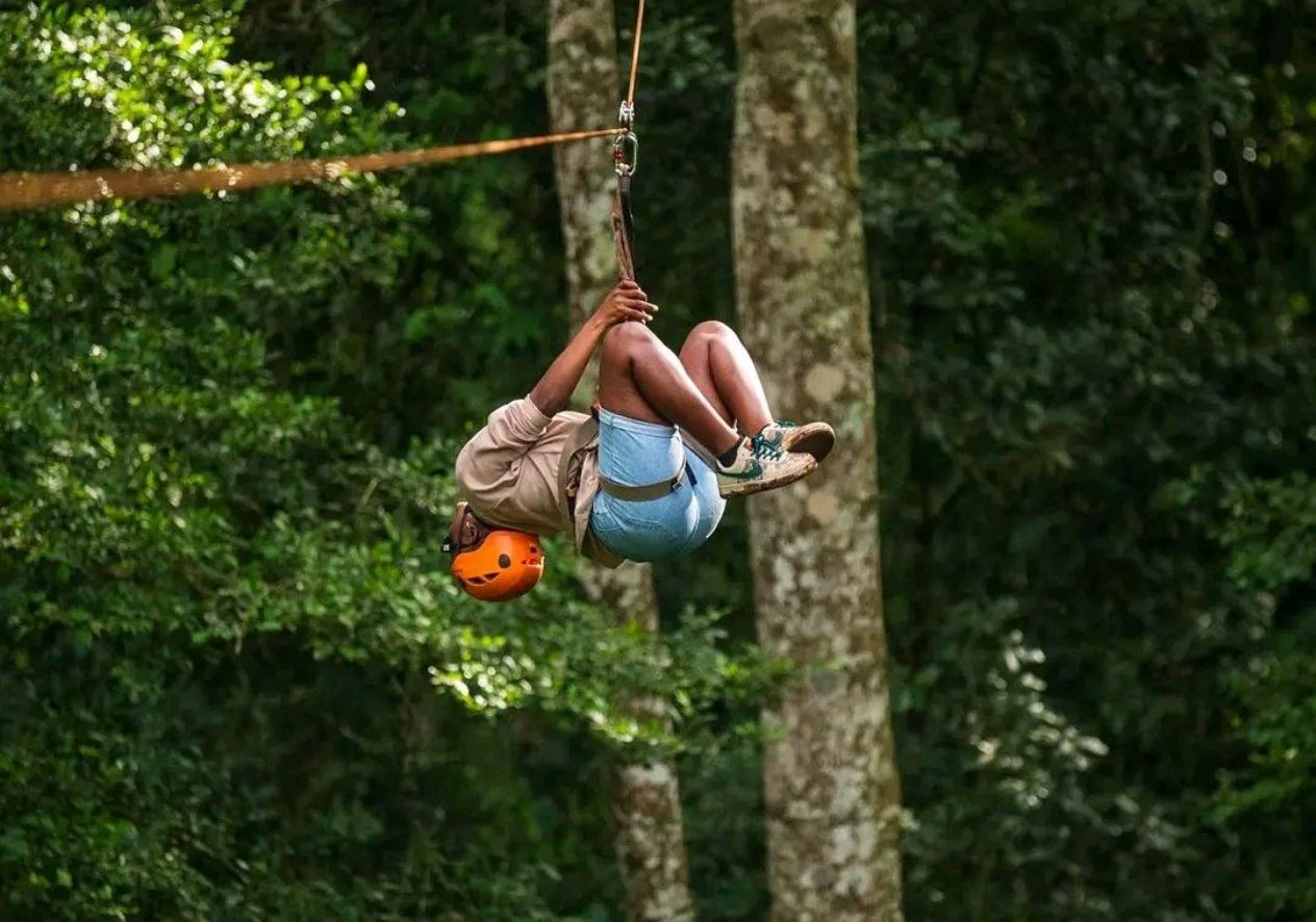 A photograph of a tourist ziplining taken during a ziplining tour in Mabira Forest in Buikwe district in Central Uganda