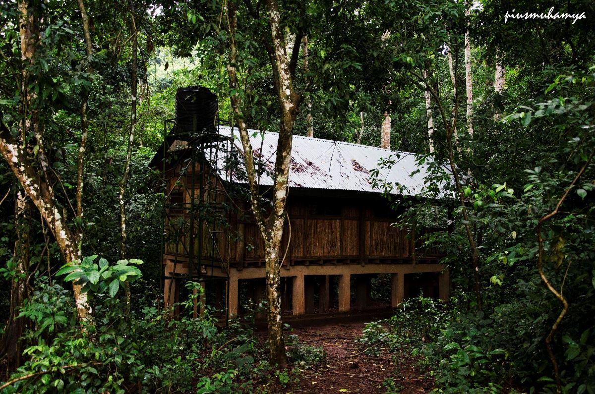 A photograph of a restroom taken during a nature walking tour in Mpanga Forest in Mpigi in Central Uganda