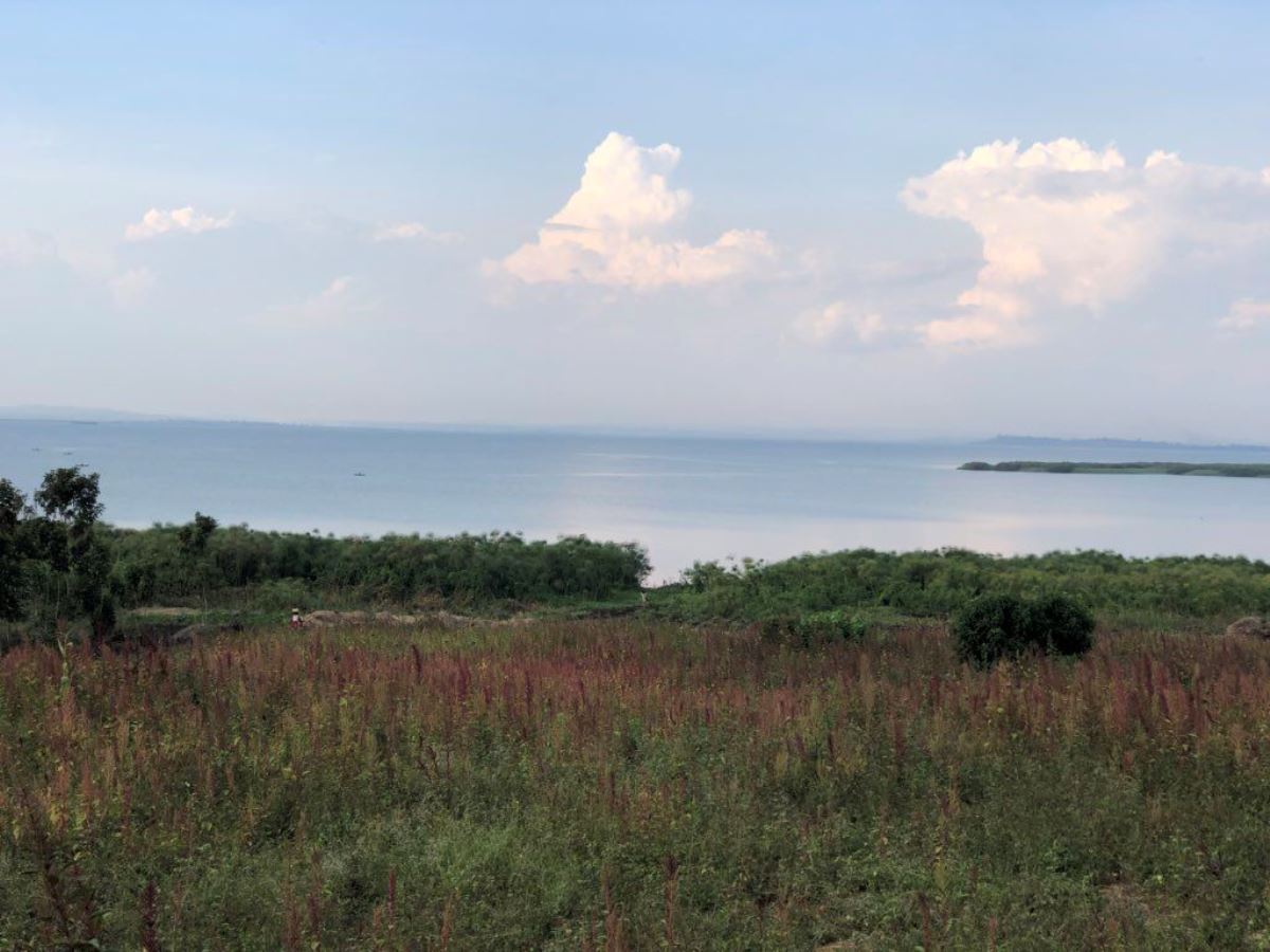 A photograph showing Lake Wamala and the vegetation surrounding it taken during a tour to Lake Wamala in Central Uganda