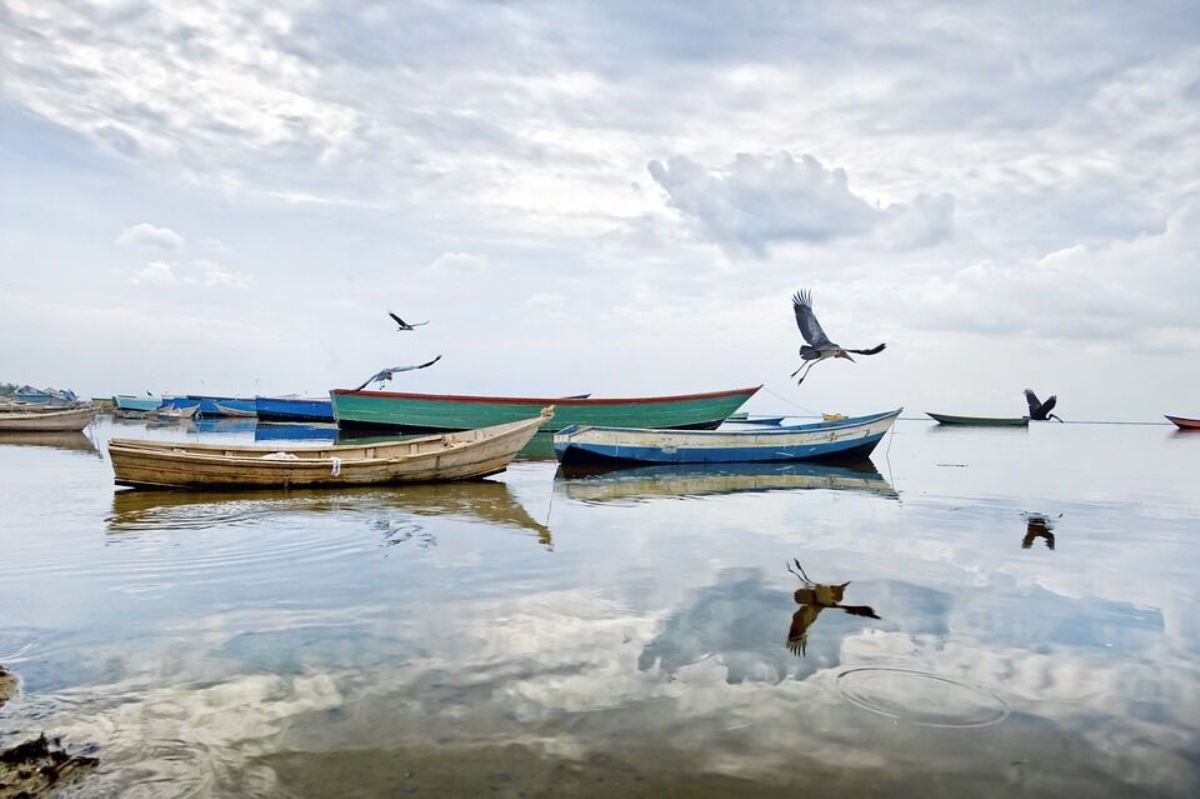 A photograph of canoe boats taken during a fishing tour on Lake Albert located on the boarder of Uganda and Democratic Republic of Congo