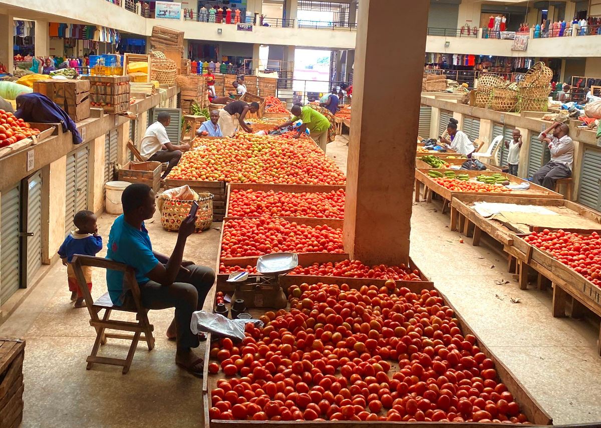 A photograph of a tomato vendor taken from Soroti market in Eastern Uganda taken during a Soroti City Tour.