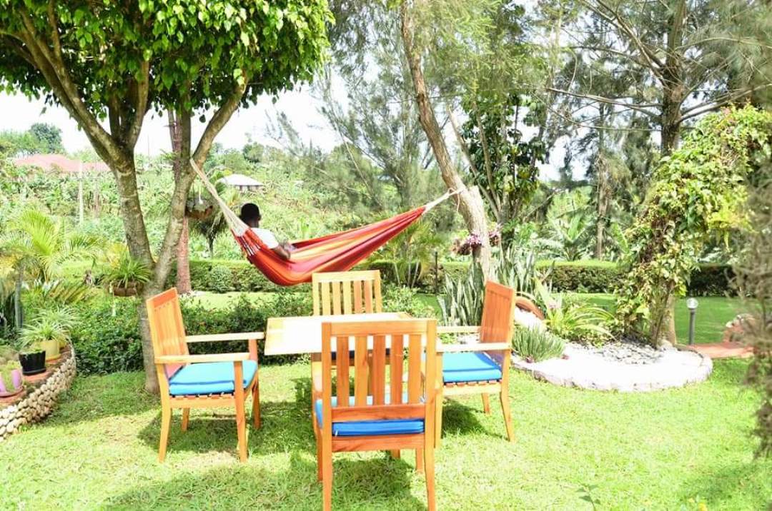 Gardens Photo Sheevys Bed and Breakfast Hotel Fort Portal Uganda Western Region