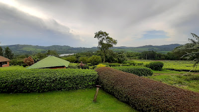 Gardens Photo Chimpanzee Forest Lodge, Kibale Forest National Park Fort Portal Uganda Western Region