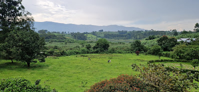 Forest Photo Haven of Tranquillity Hotel Fort Portal, Uganda Western Region