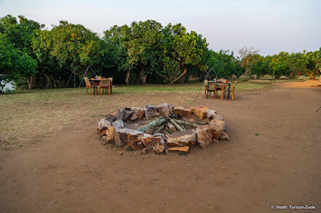 Fir Bon Photo Queen Elizabeth Bush Lodge Kasese Uganda Western Region