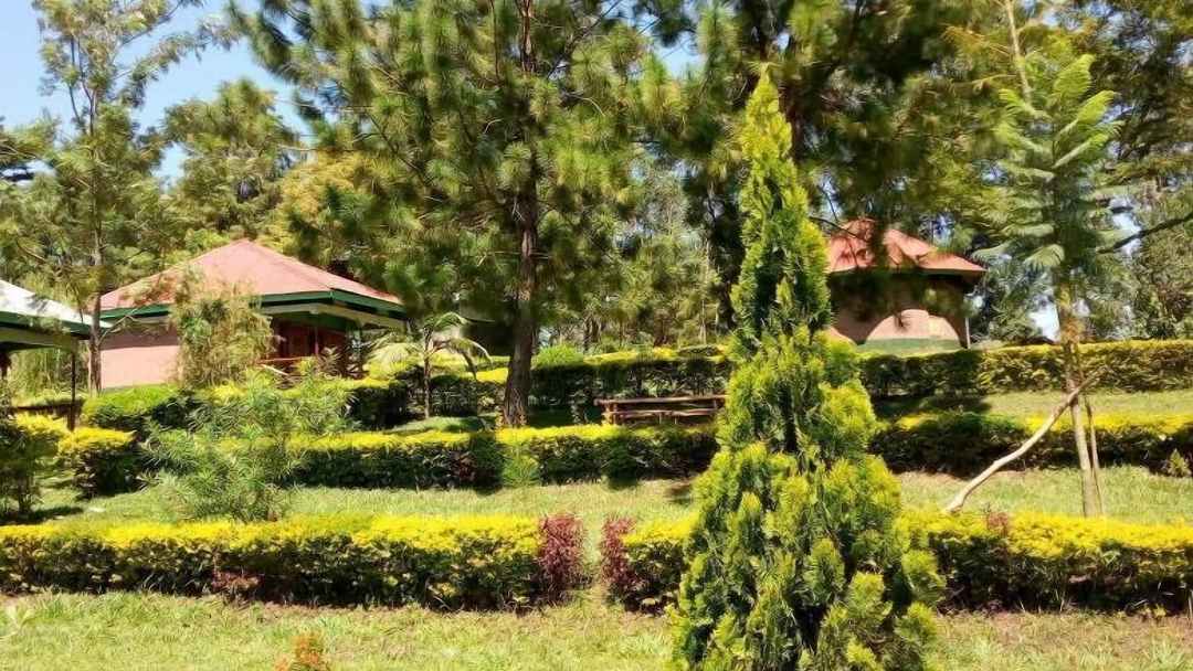 Gardens Photo Green Home Cottages and Campsite, Kibale Forest National Park Fort Portal Uganda Western Region