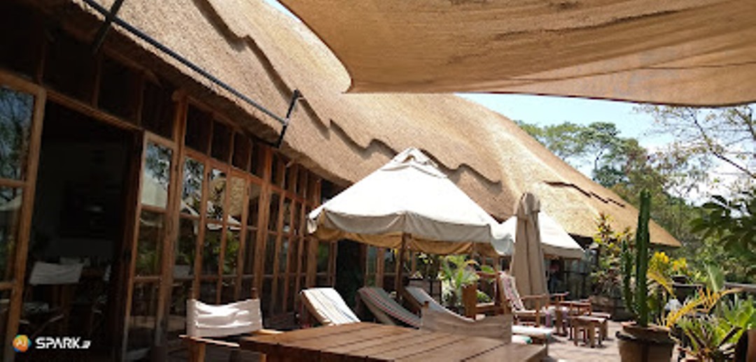 Pool Side Chairs Photo Papaya Lake Lodge,Kibale Forest National Park Fort Portal Uganda Western Region