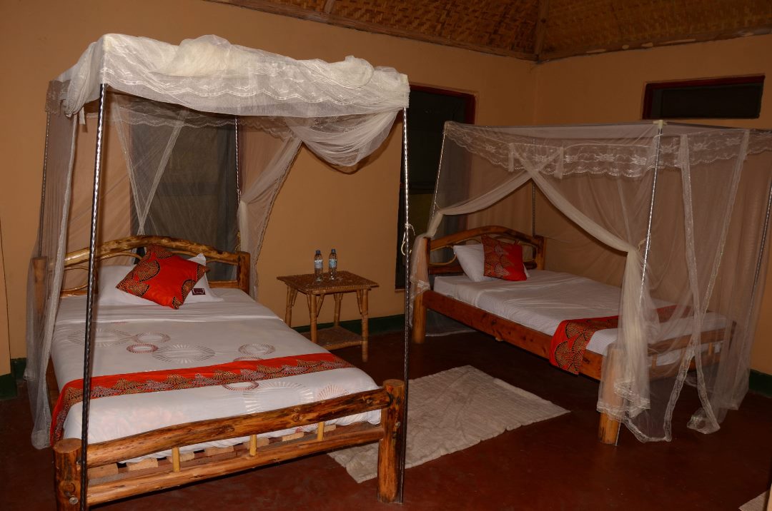 Deluxe Twin Cottage Bedroom Photo Irungu Forest Lodge & Campsite Kasese Uganda Western Region