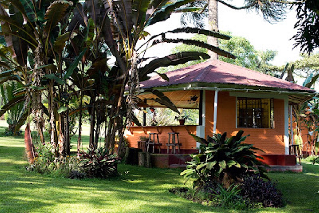 KGF Outdoor Bar Photo Kluges Guest Farm Lodge,Kibale Forest National Park Fort Portal Uganda Western Region