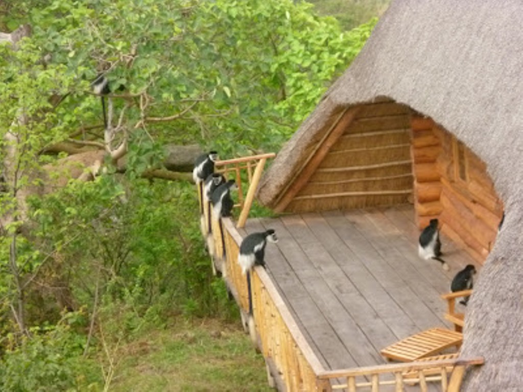 Room Exterior Photo Kyaninga Lodge Fort Portal,Uganda Western Region