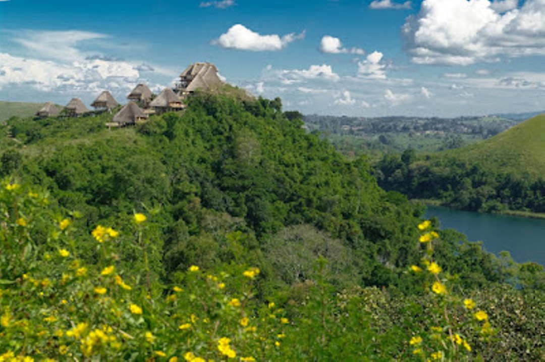 Forest Photo Kyaninga Lodge Fort Portal,Uganda Western Region