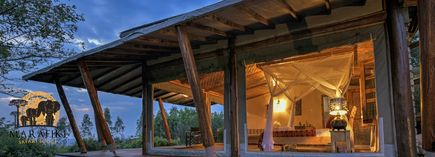 Safari Tent Dusk Photo Marafiki Safari Lodge Kasese Uganda Western Region