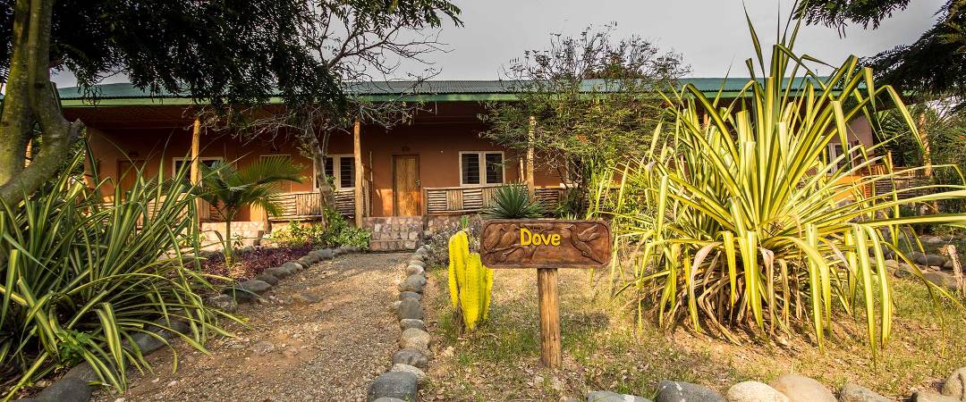 Room Exterior Photo Simba Safari Camp Kasese Uganda Western Region 2