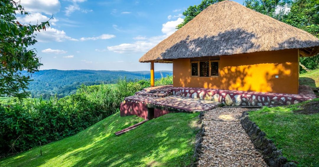 Room Exterior Photo Chimpanzee Forest Lodge, Kibale Forest National Park Fort Portal Uganda Western Region 1