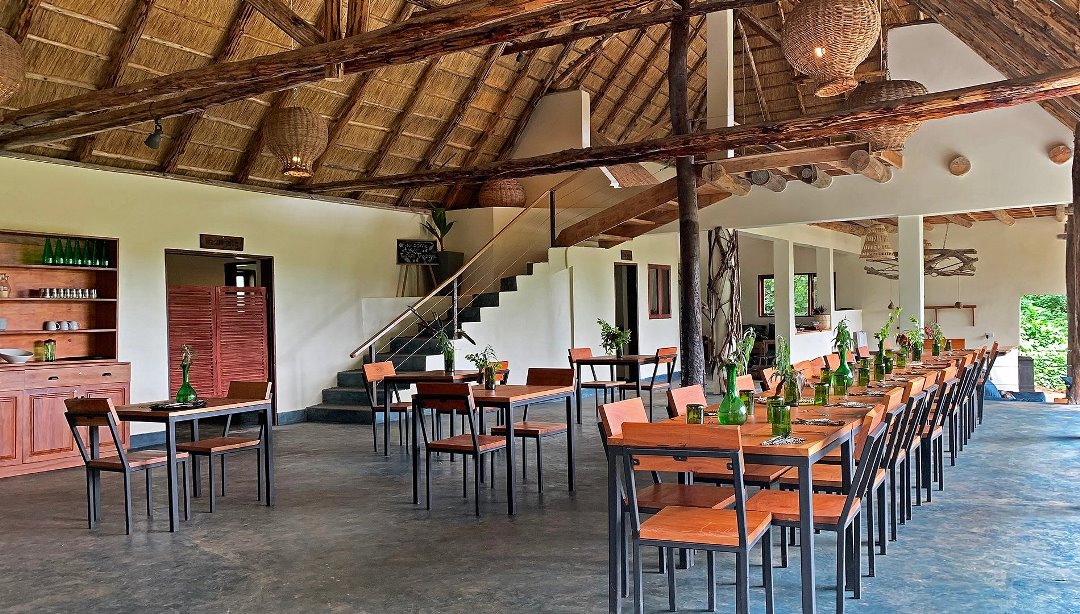 Restaurant Photo Turaco Treetops Lodge,Kibale Forest National Park Fort Portal Uganda Western Region