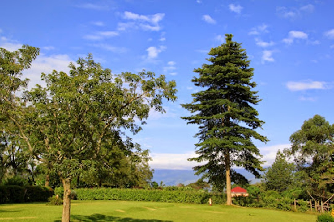 Gardens Photo Kluges Guest Farm Lodge,Kibale Forest National Park Fort Portal Uganda Western Region