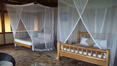 Twin Bedroom Photo Rift Valley Game Lodge Rubirizi Uganda Western Region