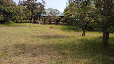 Gardens Photo Forest Hog Safari Camp Kasese Uganda Western Region