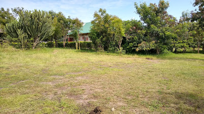 Gardens Photo Forest Hog Safari Camp Kasese Uganda Western Region 1