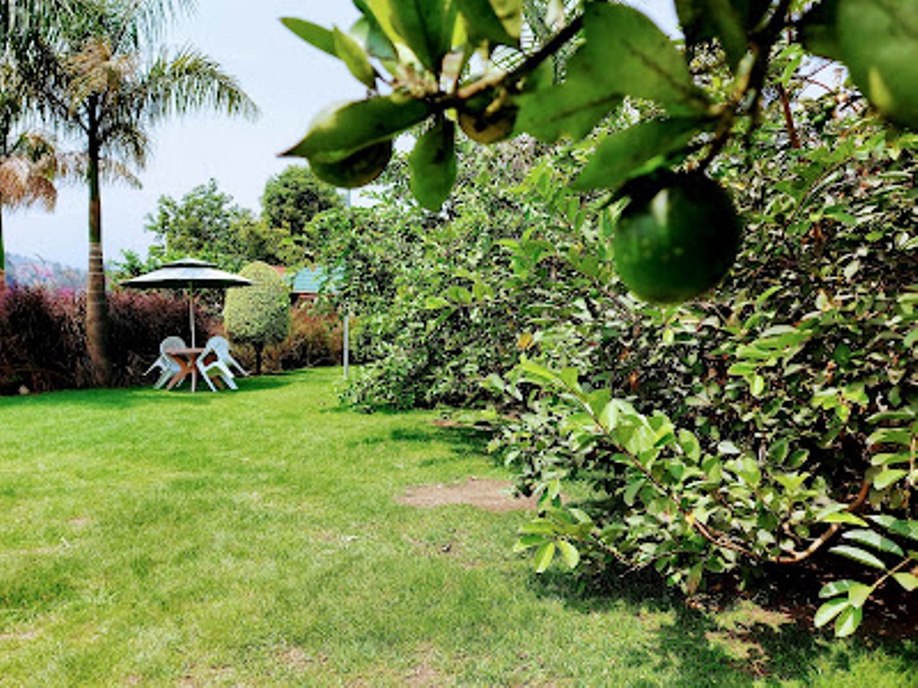 Gardens Photo Tooro Fairway Hotel Fort Portal Uganda Western Region