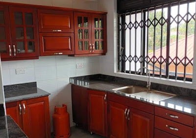 Kitchen Photo NL Josephine's Apartment Entebbe Uganda Central Region