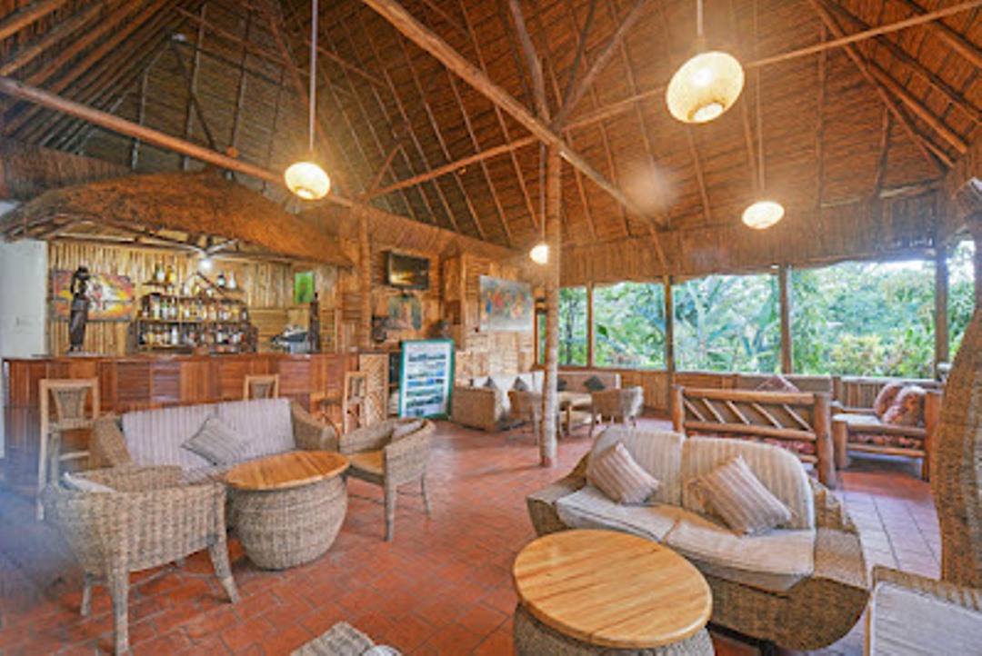 Bar Photo Elephant Hab Lodge Kasese Uganda Western Region