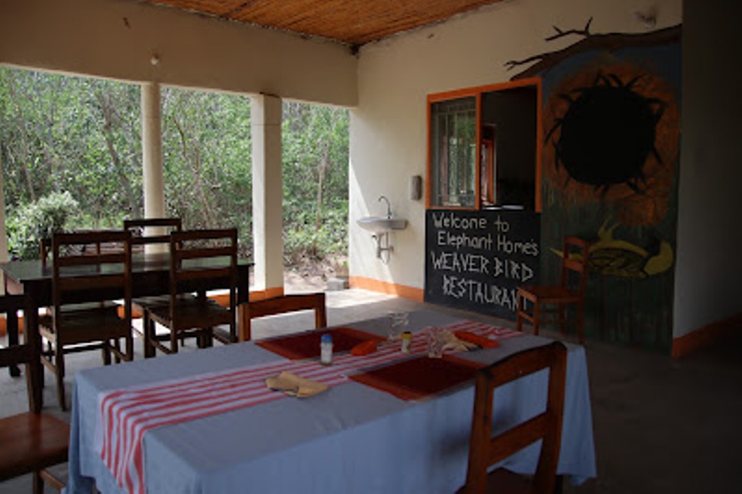 Dining Area Photo The Elephant Home Katunguru Uganda Western Region