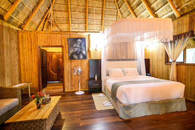 Double Cottage Bedroom Photo ParkView Safari Lodge kichwamba Uganda Western Region