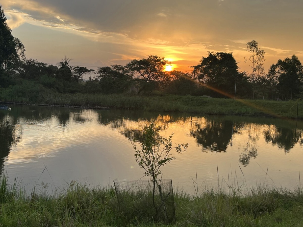 A photograph of the sunset taken from FARMstay Zirobwe, Uganda.