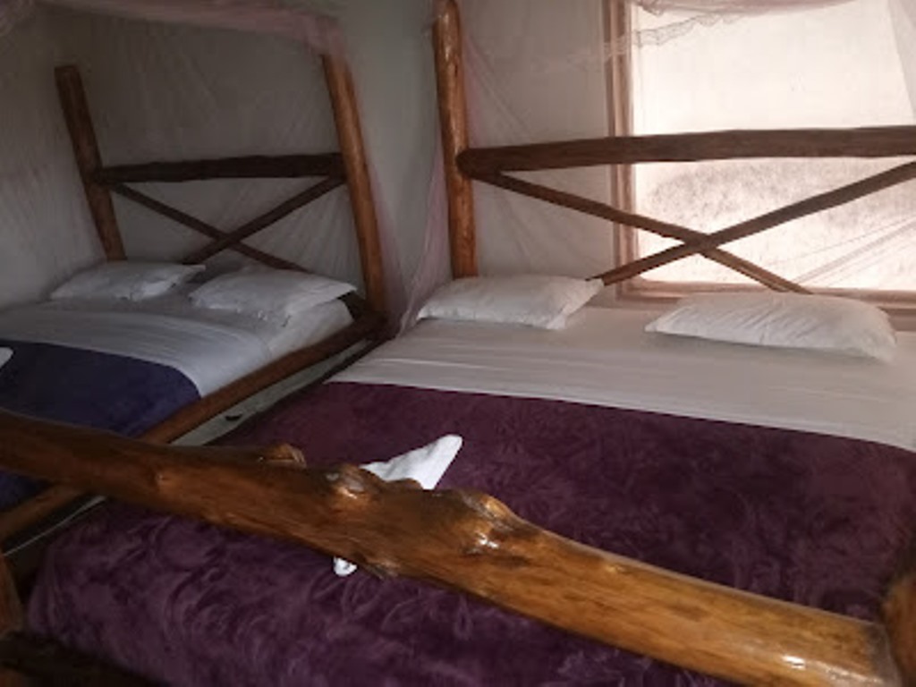 Standard Twin Bedroom Photo The Baboon Safari Resort Katunguru Uganda Western Region