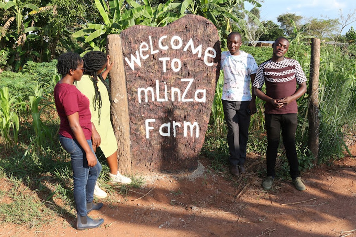 A photograph of visitors at the entrance to MLinza Farm in Zirobwe, Uganda.