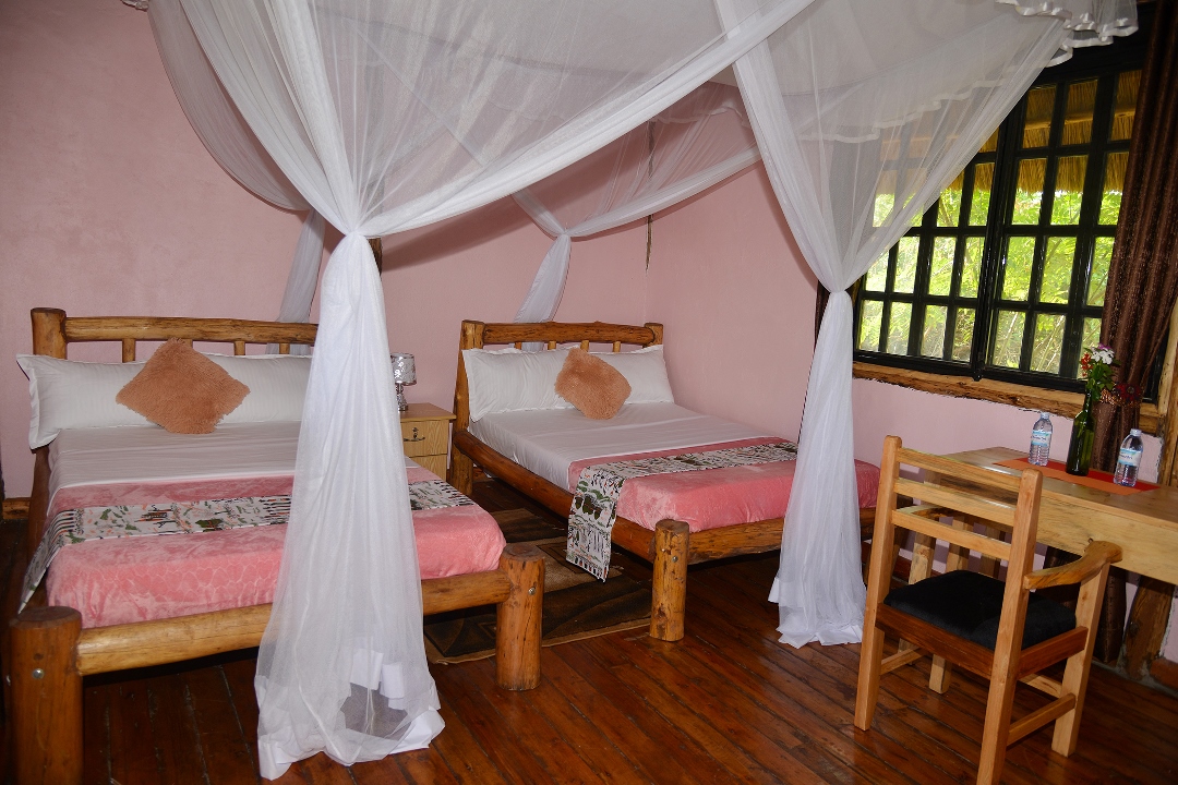 Twin Bedroom Photo Bulbul safaris Lodge Katunguru Uganda Western Region 1