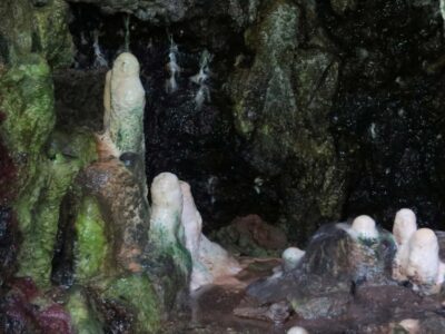 Photograph taken from the Amabere ga Nyina Mwiru caves in Western Uganda