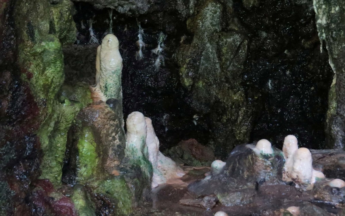 Photograph taken from the Amabere ga Nyina Mwiru caves in Western Uganda