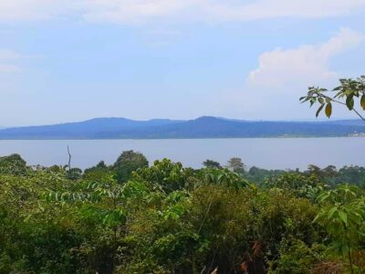 A photograph of the Bussi Island located on Lake Victoria in Uganda