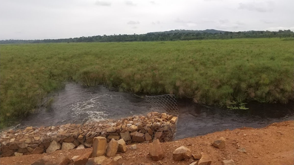 A photograph taken from Mpologoma River in Eastern Uganda