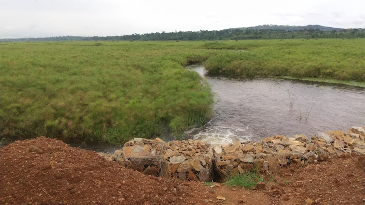 A photograph taken from Mpologoma River in Eastern Uganda